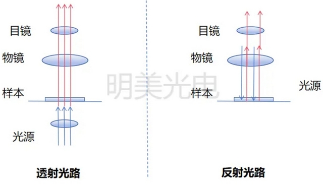 光學顯微鏡觀察方式大盤點：明場