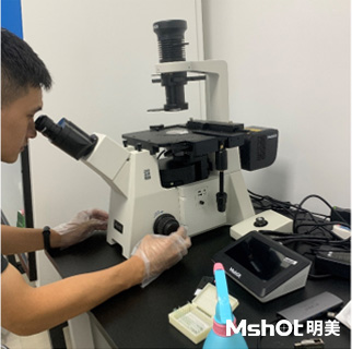 國產倒置熒光顯微鏡用于植物自發(fā)熒光檢測